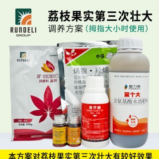 【荔枝果實(shí)第三次壯大】專用調(diào)養(yǎng)方案