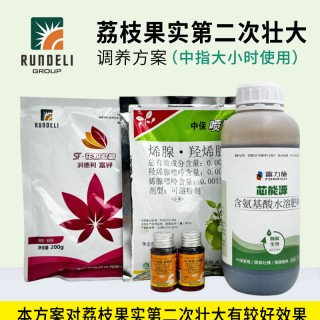 【荔枝果實(shí)第二次壯大】專用調(diào)養(yǎng)方案