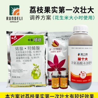 【荔枝果實(shí)第一次壯大】專用調(diào)養(yǎng)方案