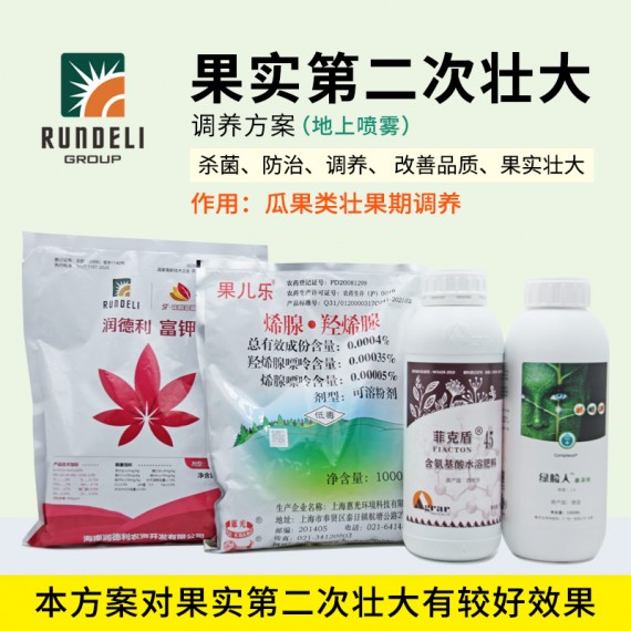 【果實第二次壯大】專用營養(yǎng)套餐（地上噴霧）