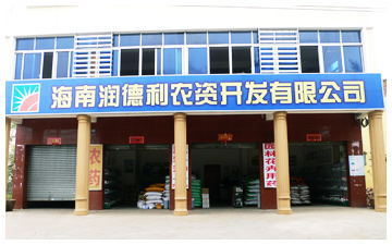 g_04.jpg