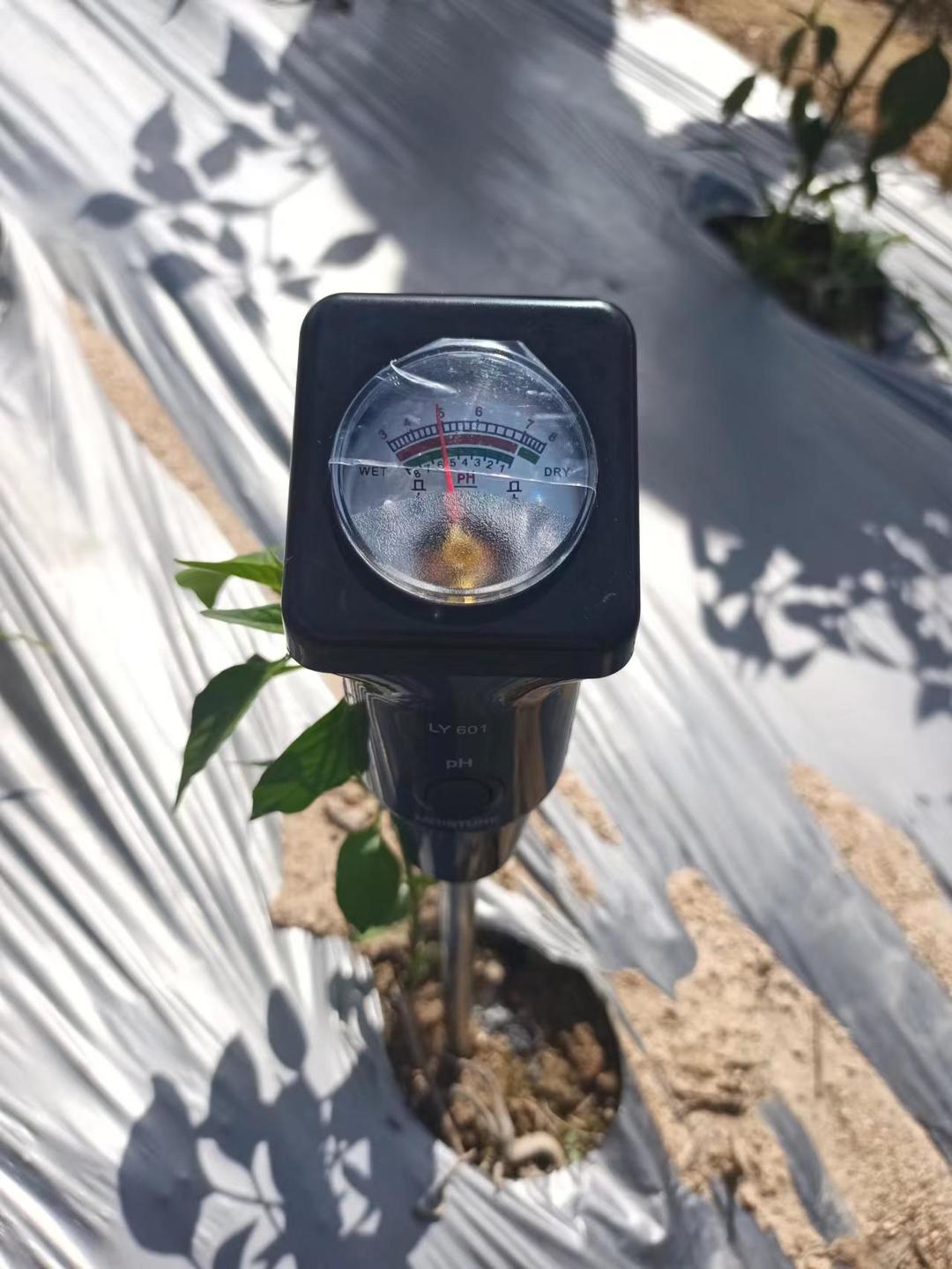如何減少土傳病害對(duì)我們種植的影響