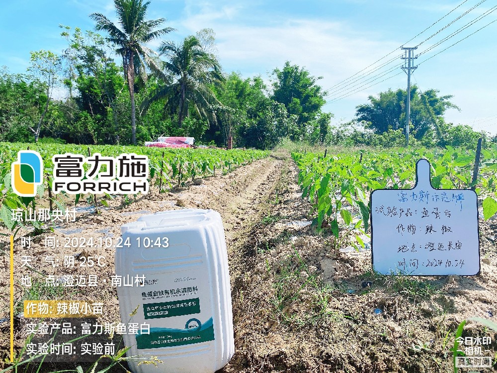 魚蛋白肽有機(jī)水溶肥試驗示范情況