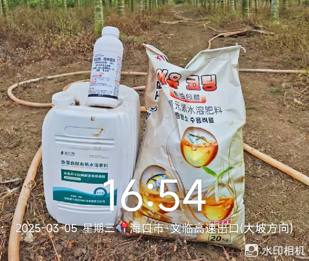 雙肥出擊！魚蛋白 + 魚油包膜為海南作物賦能